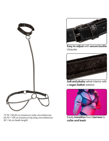 CALEXOTICS - EUPHORIA CHAIN HALTER COLLAR and LEASH PLUS SIZE