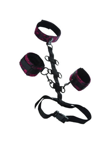 CALEXOTICS – SKANDALINĖ KAKLO ATRAMPA