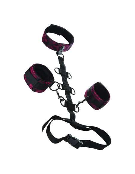 CALEXOTICS – SKANDALINĖ KAKLO ATRAMPA