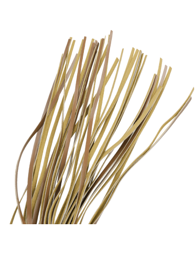 FETISH SUBMISSIVE ORIGENAS - VEGANIŠKAS ODINIS PLOTAS