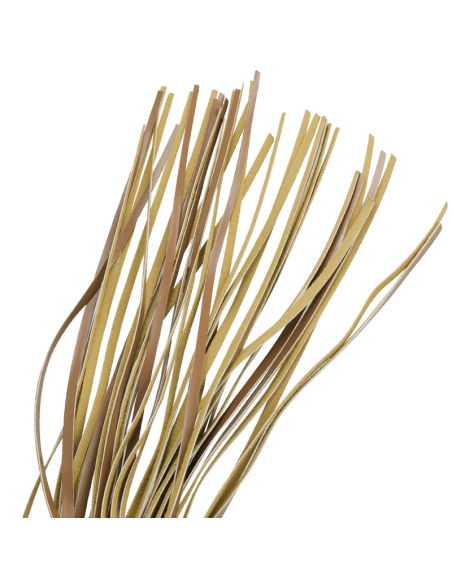 FETISH SUBMISSIVE ORIGEN - VEGAN LEATHER WHIP