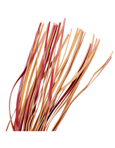 FETISH SUBMISSIVE DARK ROOM - VEGAN LEATHER WHIP