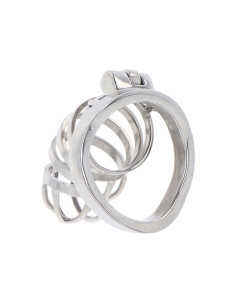 HIDDEN DESIRE - EXTREME CHASTITY COCK CAGE METAL 2