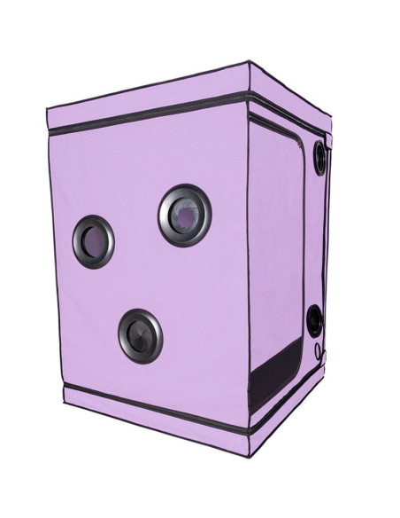 SECRET DOME - KINK CLUB CABIN SCANDALE PURPLE