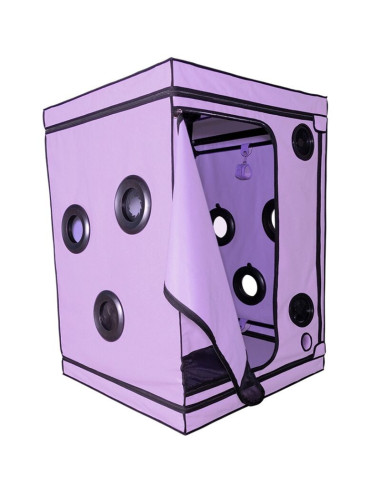 SECRET DOME - KINK CLUB CABIN SCANDALE PURPLE