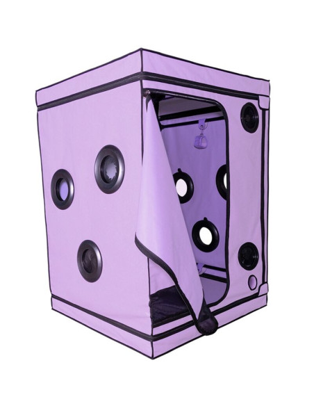 SECRET DOME - KINK CLUB CABIN SCANDALE PURPLE