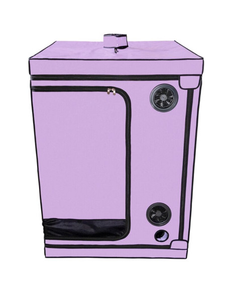 SECRET DOME - KINK CLUB CABIN SCANDALE PURPLE