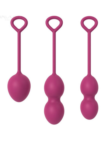 ARMONY - ANABIOSIS vaginalinis hantelis, 3 lygiai, bordo spalvos