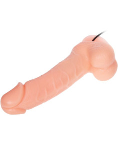 BAILE - REALISTINIS DILDO DONG VIBRUOJAMAS IR SUKAMASIS 20 CM 2