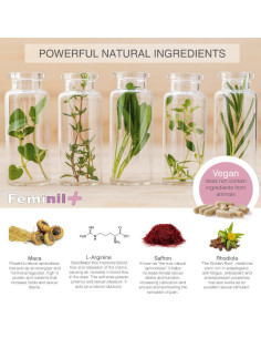 500 COSMETICS - FEMINIL FEMALE SEXUAL LIBIDO ENHANCEMENT - 30 CAPSULES 2