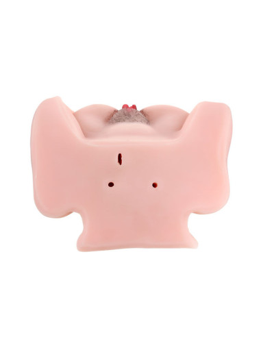 BAILE - PASSION LADY MASTURBATOR VOICE 3D