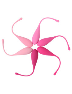 LESLIE - KEGEL FIT PELVIC MUSCLE TRAINING SET 6 WEIGHTS 2