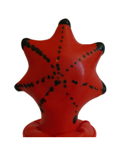 CONDOMERIE - HANDPAINTED NOVELTY CONDOMS STARFISH