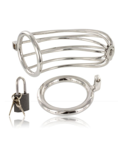 METAL HARD - BIRD CHASTITY RING CAGE 2