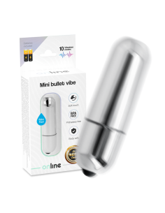 ONLINE - MINI BULLET VIBE SILVER