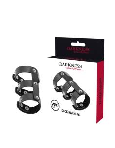 DARKNESS - ADJUSTABLE LEATHER DOUBLE PENIS AND TESTICLE RING