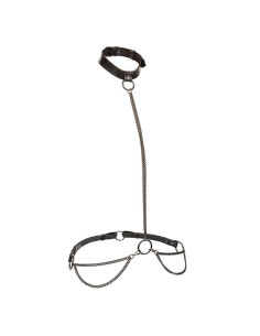 CALEXOTICS - EUPHORIA grandininis antkaklis ir pavadėlis