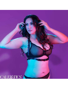 CALEXOTICS - EUPHORIA PLUS SIZE HALTER BUCKLE HARNESS BLACK 2