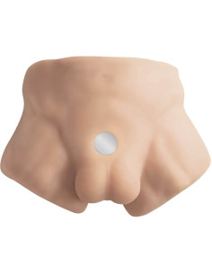 SILEXD - APOLLO S REALISTIC MALE LOWER TORSO 2