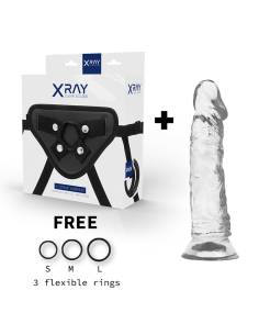 X RAY - HARNESS CLEAR COCK 19 CM -O- 4 CM 2