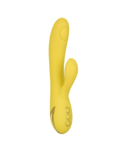 CALEXOTICS - SAN DIEGO SEDUCTION