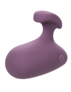 CALEXOTICS - MOD TOUCH STIMULIACIJOS PRIEMONĖ VIOLETINĖ