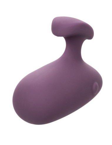 CALEXOTICS - MOD TOUCH STIMULATOR PURPLE