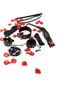 TOYJOY - BDSM PRADEDANČIŲJŲ RINKINYS TIK TAU 2