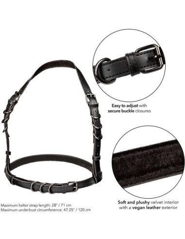 CALEXOTICS - EUPHORIA PLUS SIZE HALTER BUCKLE HARNESS BLACK
