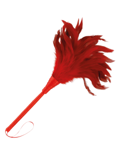 DARKNESS - RED STIMULATING PEN 24CM