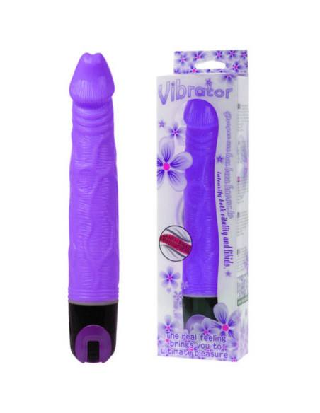 BAILE - VIBRUOJAMAS DAUGIAGREITIS 21,5 CM VIOLETINIS