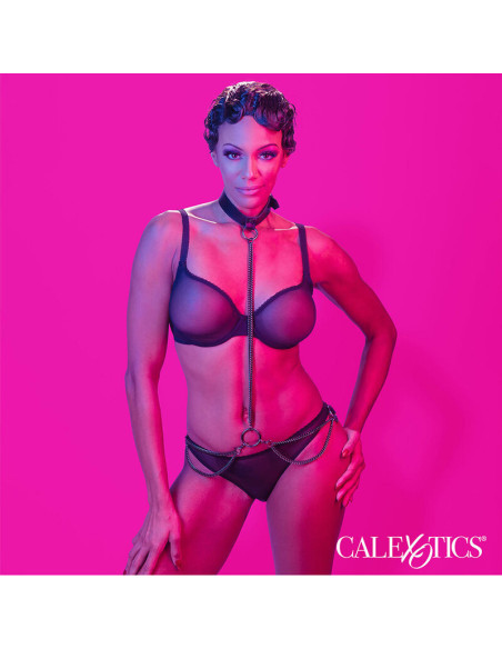 CALEXOTICS - EUPHORIA CHAIN HALTER COLLAR and LEASH