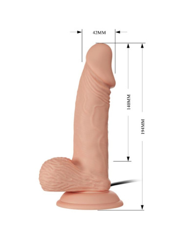 BAILE - BEAUTIFUL ENCOUNTER ZEBULON VIBRATION 19.4 CM NATURAL