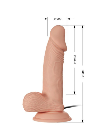 BAILE - BEAUTIFUL ENCOUNTER ZEBULON VIBRATION 19.4 CM NATURAL