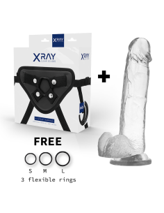 X RAY - HARNESS COCK WITH BALLS 22 CM -O- 4.6 CM 2