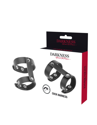 DARKNESS - LEATHER ADJUSTABLE PENIS AND TESTICLE RING