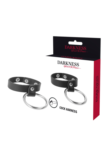 DARKNESS - METAL RING FOR THE PENIS AND TESTICLES
