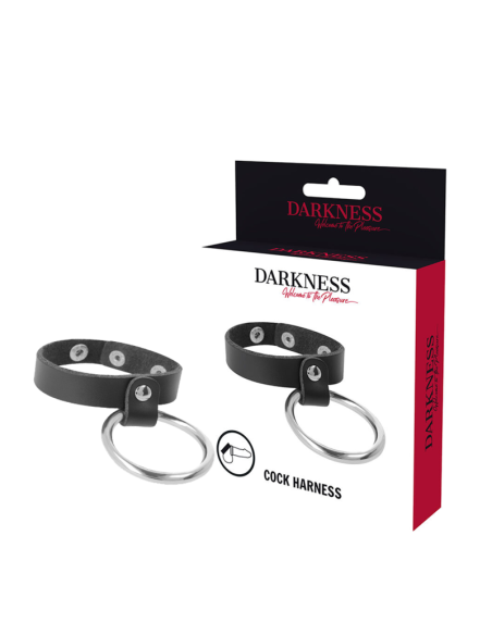 DARKNESS - METAL RING FOR THE PENIS AND TESTICLES