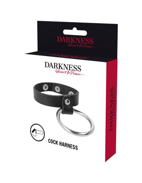 DARKNESS - METAL RING FOR THE PENIS AND TESTICLES