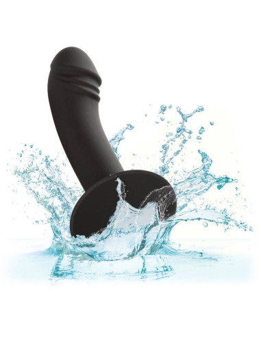CALEXOTICS - CURVED ANAL STUD