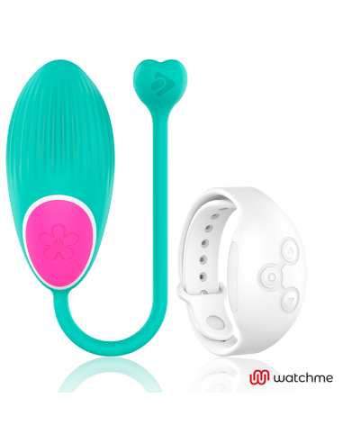 WEARWATCH – KIAUŠINIO NUOTOLINIO WATCHME TECHNOLOGIJA, JŪROS VANDUO – SNIEGAS