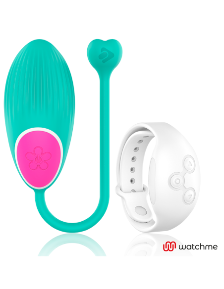 WEARWATCH – KIAUŠINIO NUOTOLINIO WATCHME TECHNOLOGIJA, JŪROS VANDUO – SNIEGAS