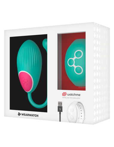 WEARWATCH – KIAUŠINIŲ NUOTOLINIO VALDYMO TECHNOLOGIJA, WATCHME JŪROS VANDUO