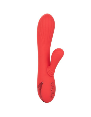 CALEXOTICS - PALISADES PASSION RED