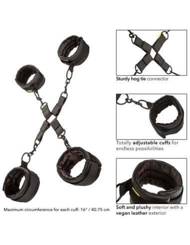 CALEXOTICS - BOUNDLESS HOG TIE