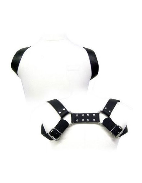 LEATHER BODY – dėklas