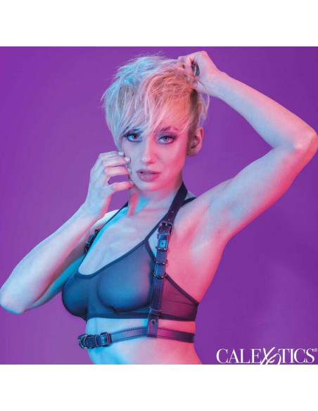 CALEXOTICS - EUPHORIA JUODOS PETIRŠAI SU SAGTIMI