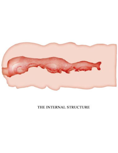 CRAZY BULL - Isabel vagininis masturbatorius 13,5 cm