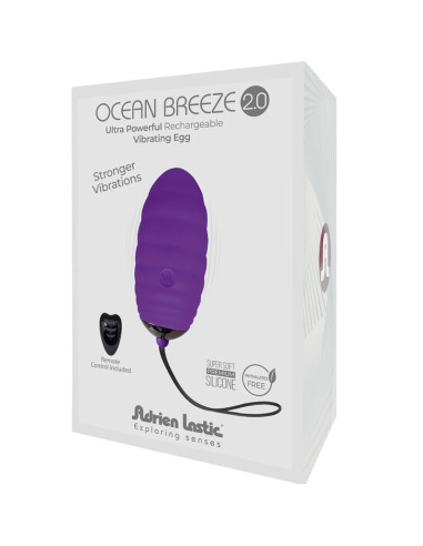 ADRIEN LASTIC - ĮKRAUNAMAS VIBRUOJAMAS KIAUŠINIS SU NUOTOLINIO VALDYMO VALDYMU, VIOLETINIS