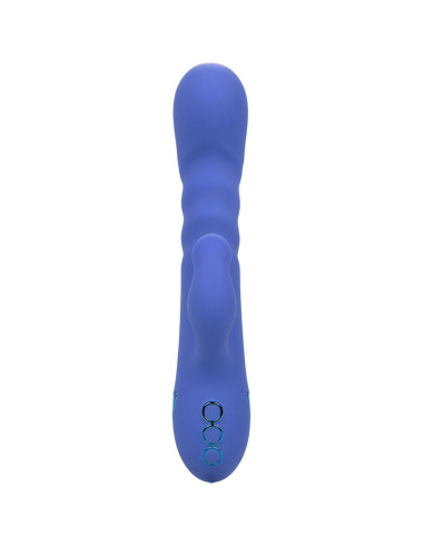 CALEXOTICS - L.A LOVE VIBRATOR and SUCTION BLUE BY CALIFORNIA DREAMING
